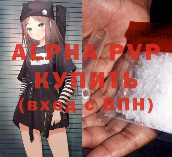 spice Богородицк
