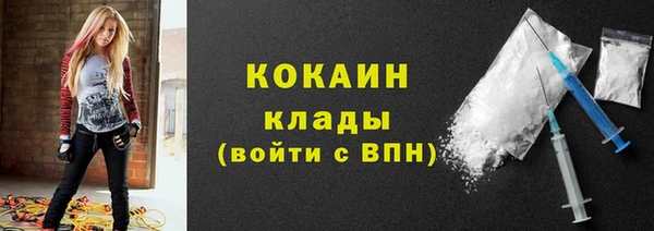 mdpv Богородск