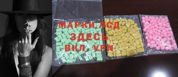 spice Богородицк