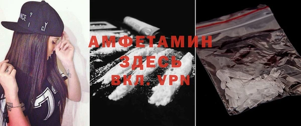 spice Богородицк