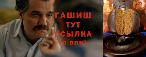 spice Богородицк