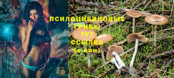 spice Богородицк