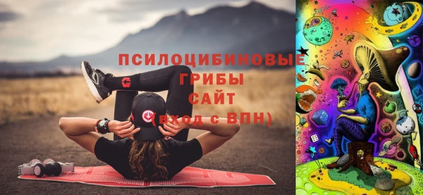 mdpv Богородск