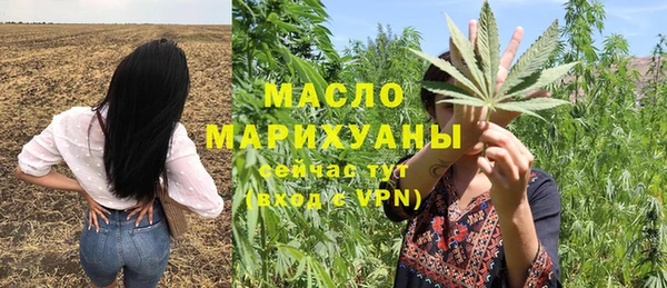 spice Богородицк