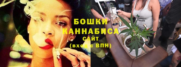spice Богородицк