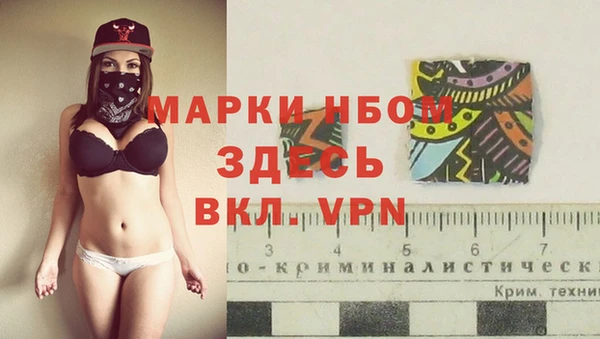 spice Богородицк