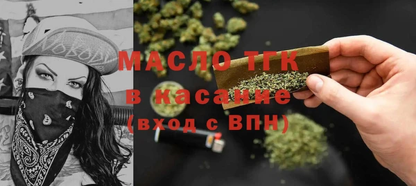 spice Богородицк