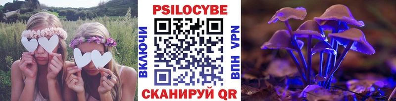 дарнет шоп Калининец Галлюциногенные грибы Magic Shrooms